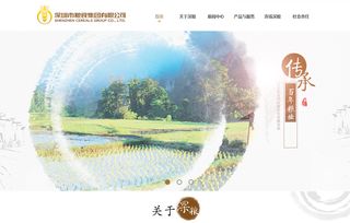農業電商網站建設 網站定制開發的作用